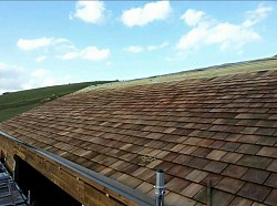 cedar tiling